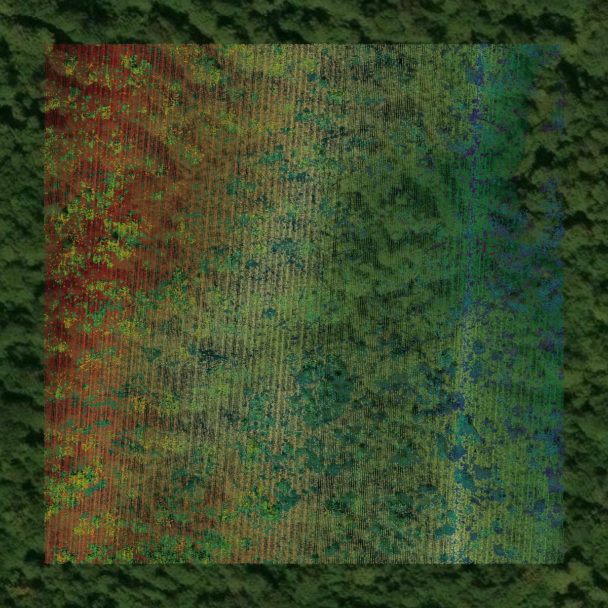 This image shows a LiDAR point cloud in Aroostook County created using GIS data in Equator.