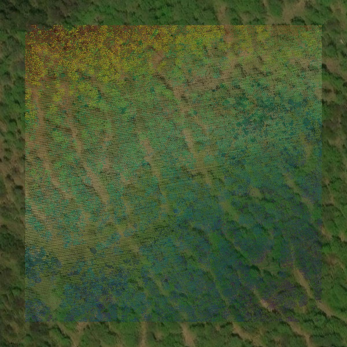 This image shows a LiDAR point cloud in Franklin County created using GIS data in Equator.