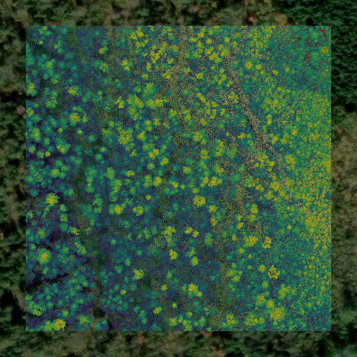 This image shows a LiDAR point cloud in Hancock County created using GIS data in Equator.