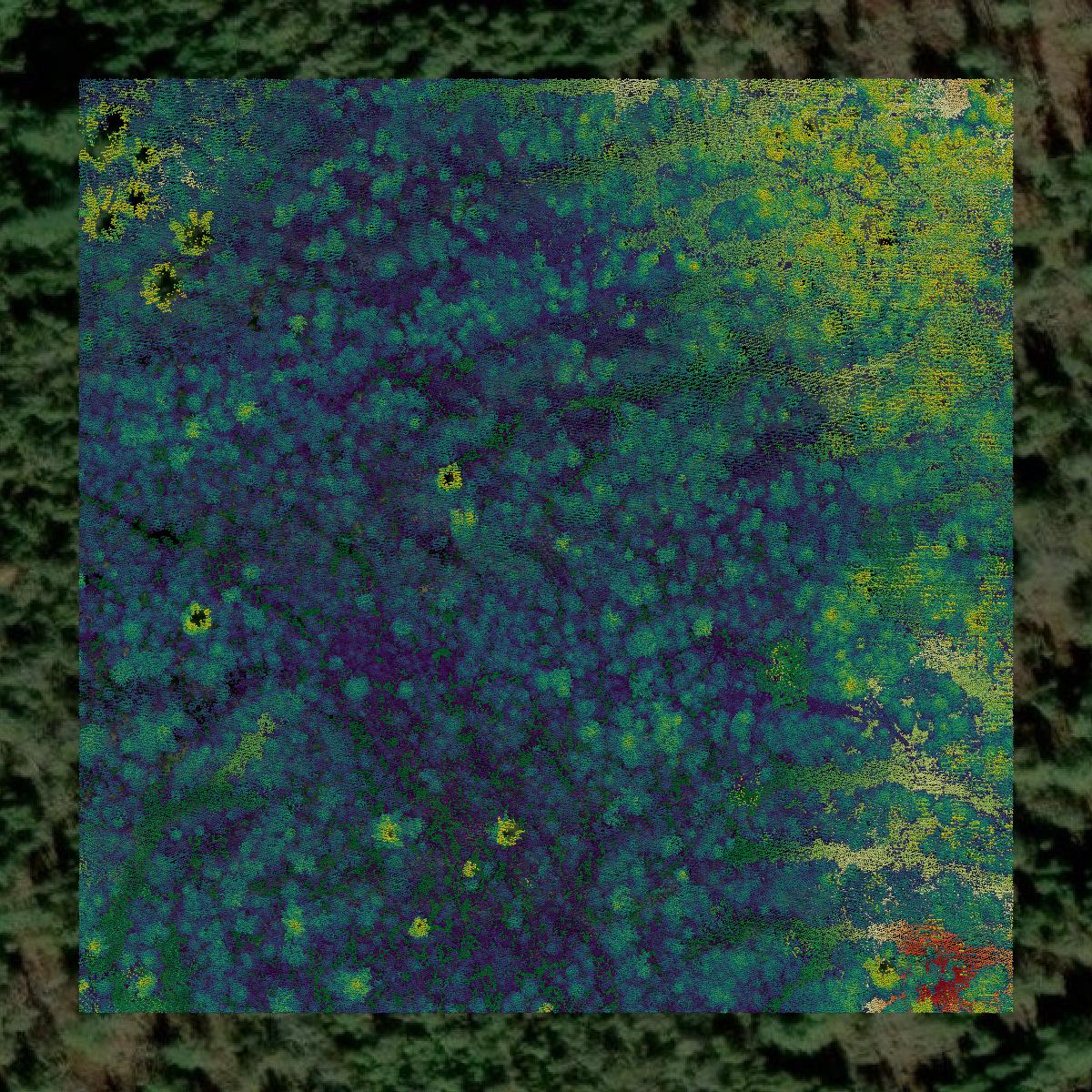 This image shows a LiDAR point cloud in Hancock County created using GIS data in Equator.