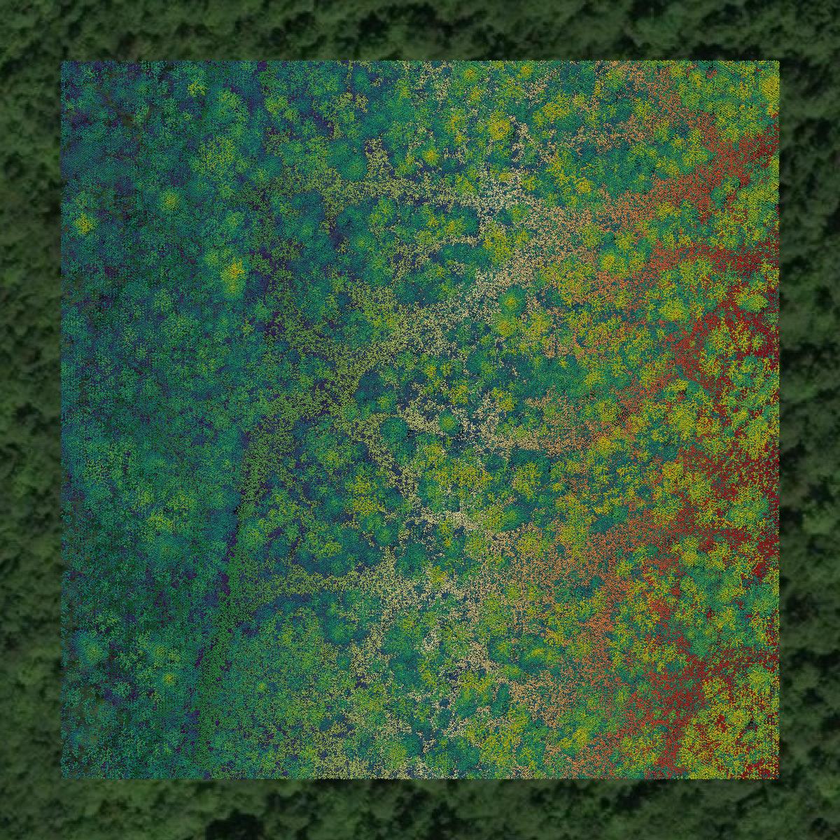 This image shows a LiDAR point cloud in Kennebec County created using GIS data in Equator.