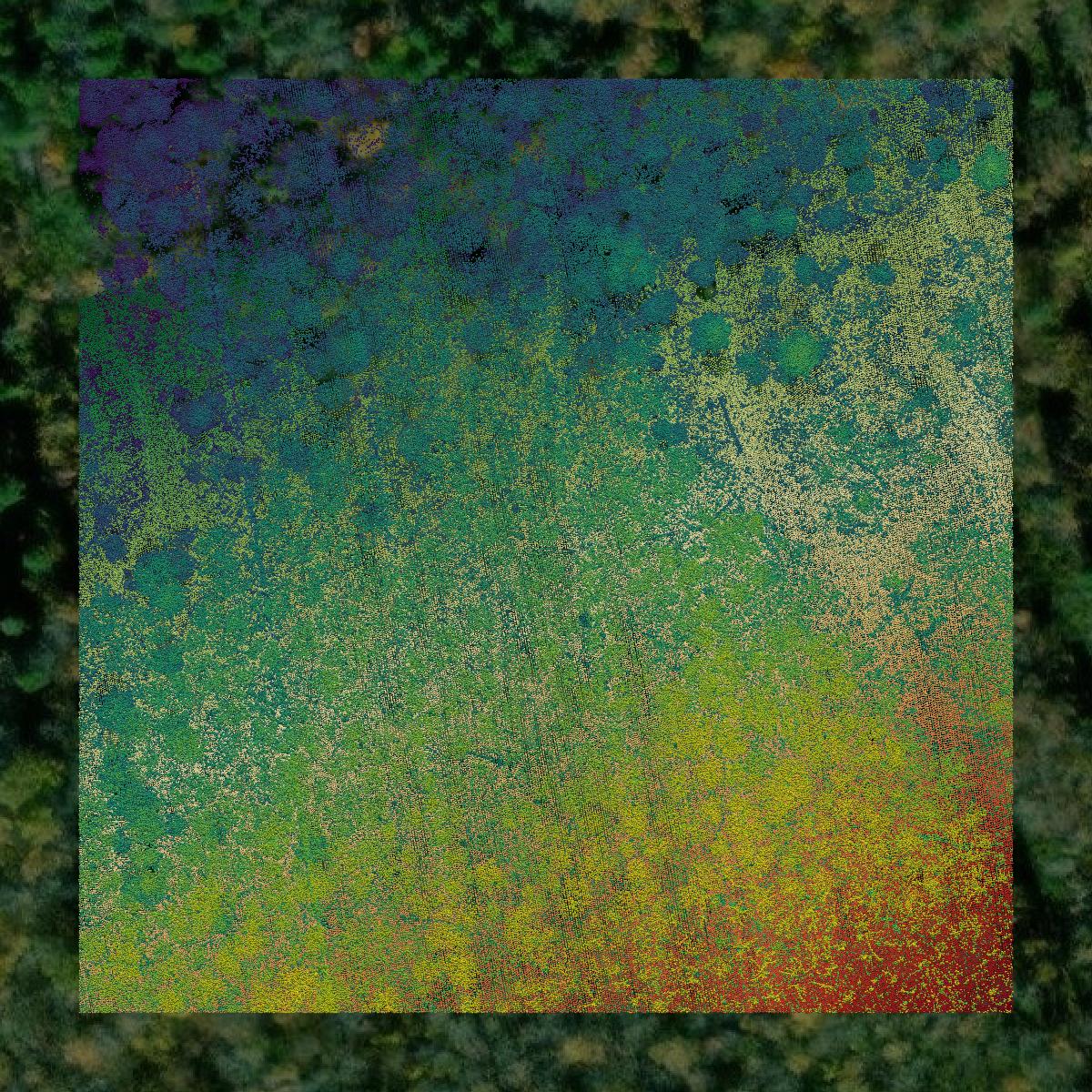 This image shows a LiDAR point cloud in Knox County created using GIS data in Equator.