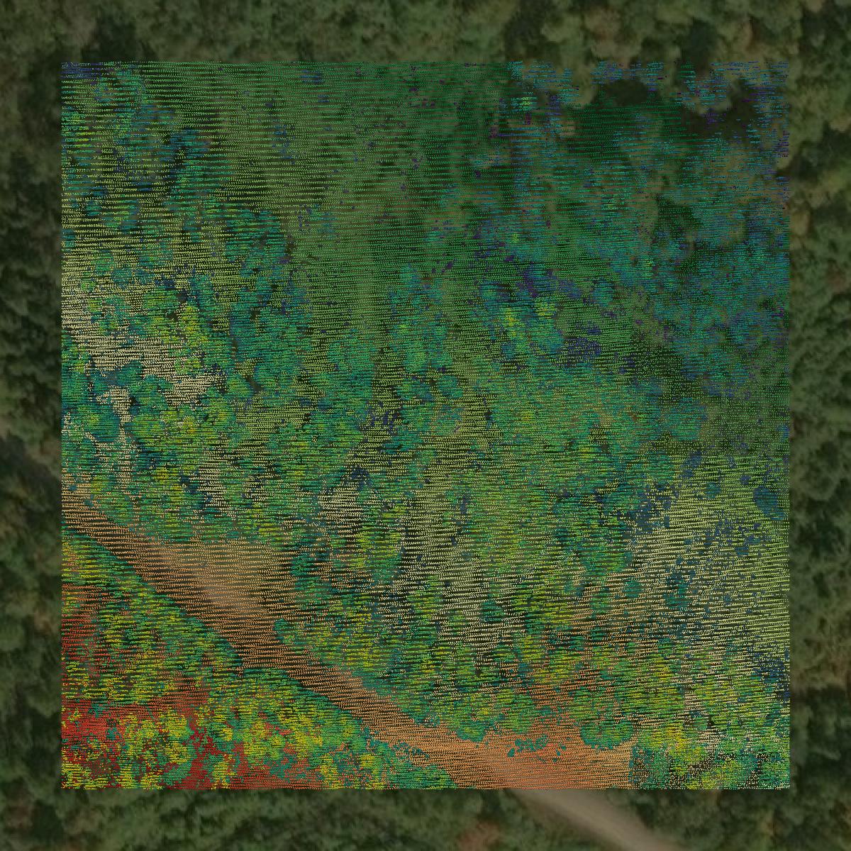 This image shows a LiDAR point cloud in Oxford County created using GIS data in Equator.