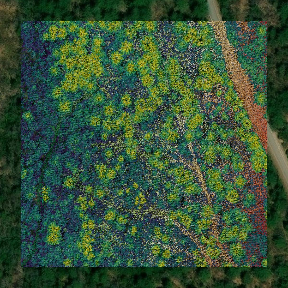 This image shows a LiDAR point cloud in Oxford County created using GIS data in Equator.
