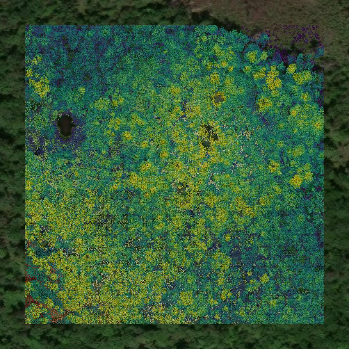 This image shows a LiDAR point cloud in Penobscot County created using GIS data in Equator.