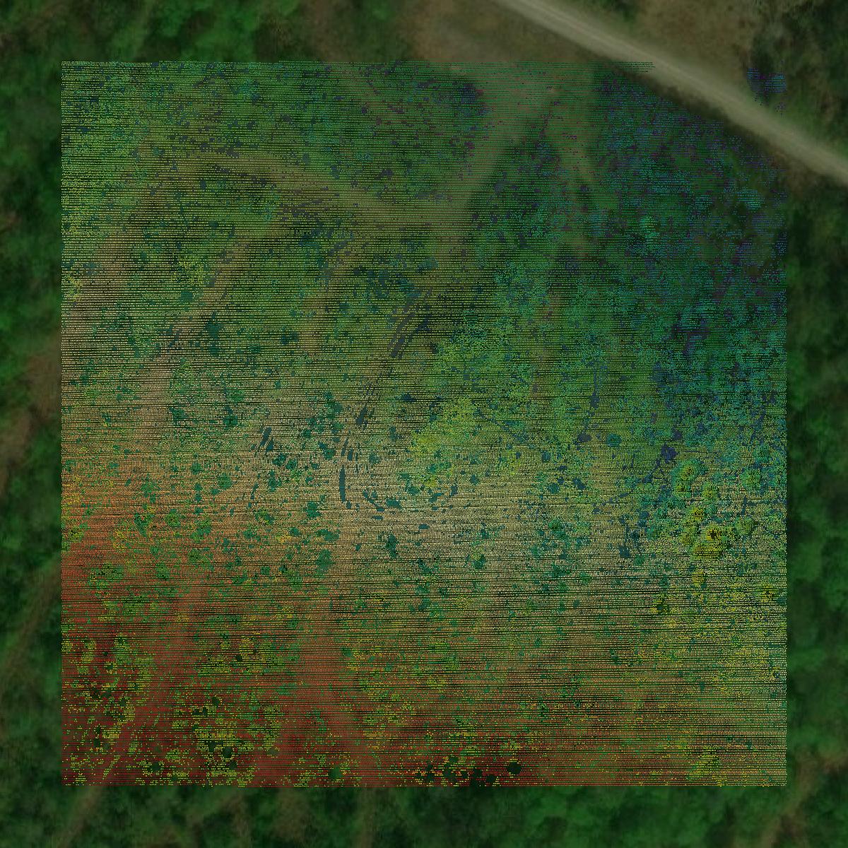 This image shows a LiDAR point cloud in Piscataquis County created using GIS data in Equator.