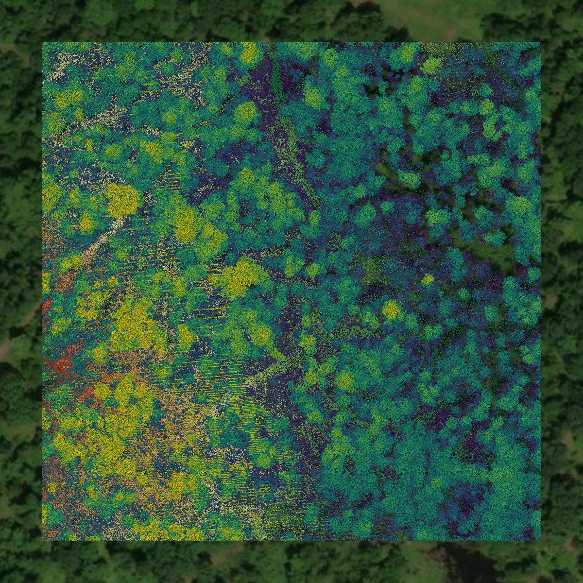 This image shows a LiDAR point cloud in Sagadahoc County created using GIS data in Equator.