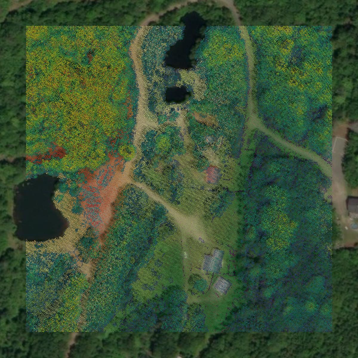This image shows a LiDAR point cloud in Sagadahoc County created using GIS data in Equator.