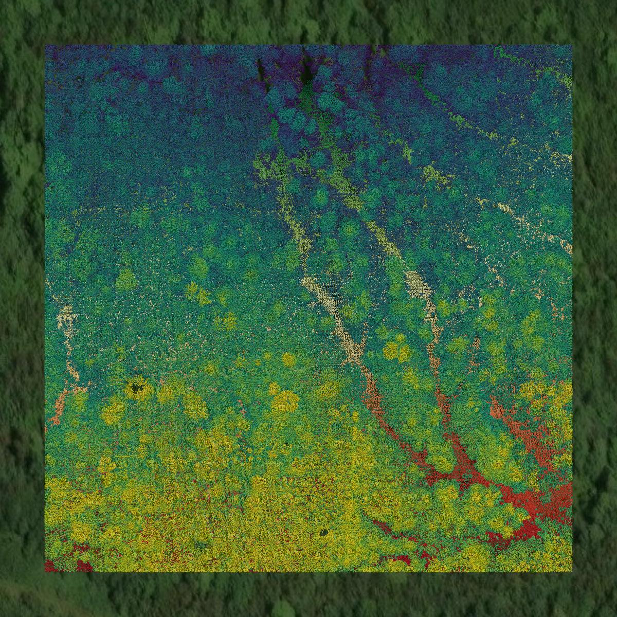 This image shows a LiDAR point cloud in Somerset County created using GIS data in Equator.