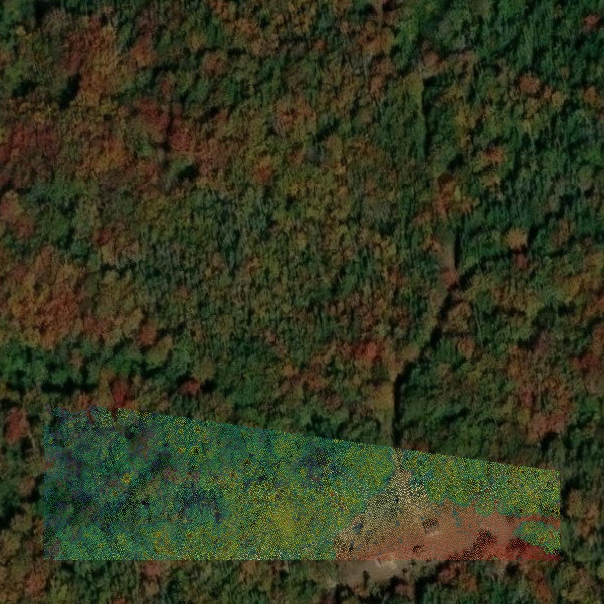 This image shows a LiDAR point cloud in Washington County created using GIS data in Equator.