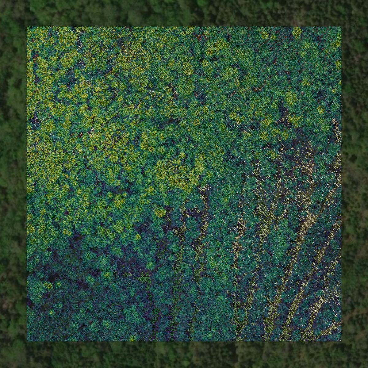 This image shows a LiDAR point cloud in Washington County created using GIS data in Equator.