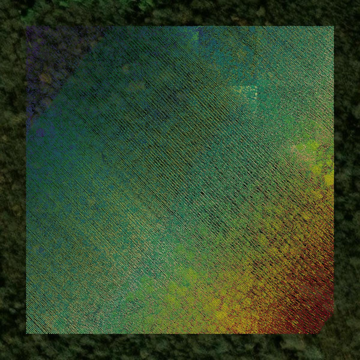 This image shows a LiDAR point cloud in Allegany County created using GIS data in Equator.