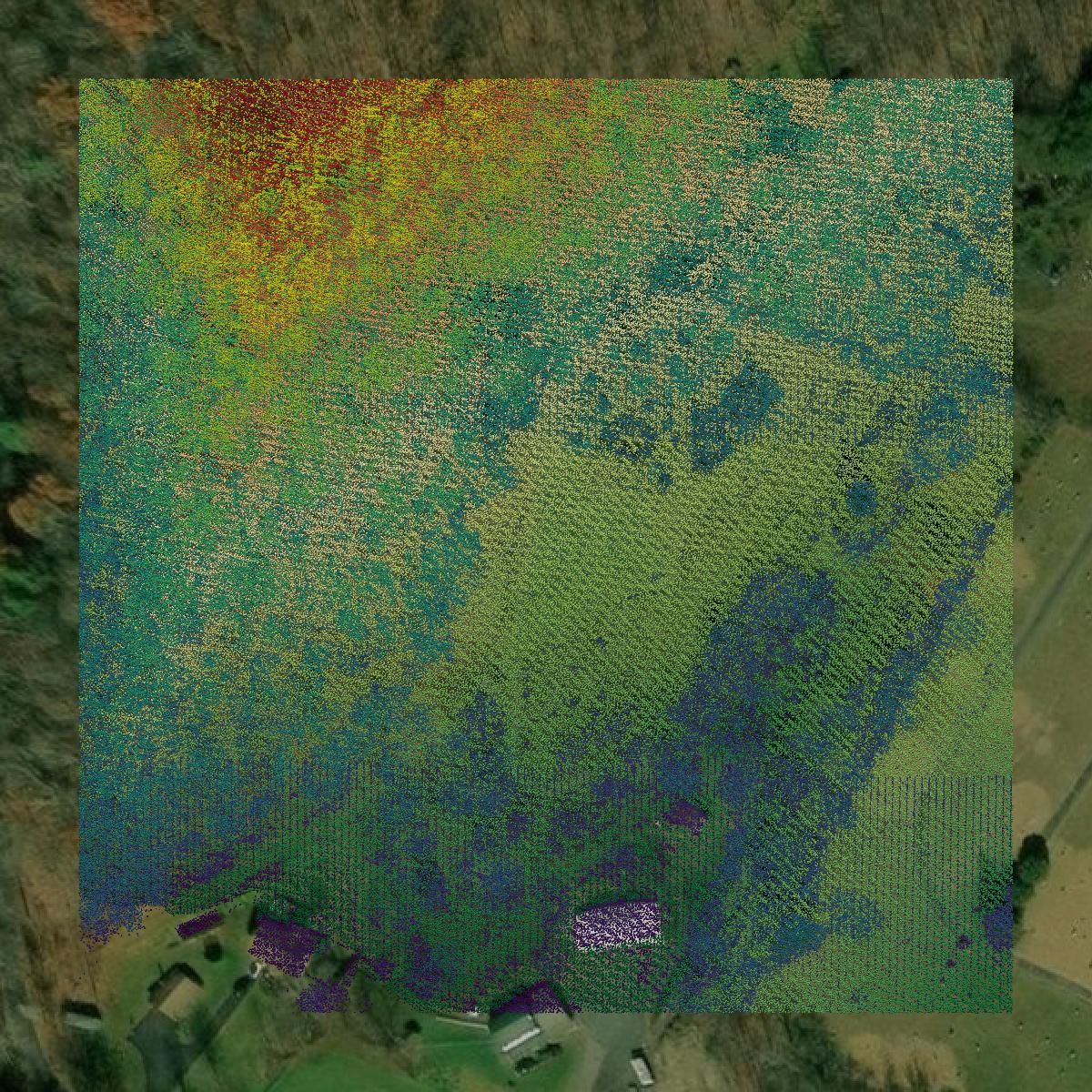 This image shows a LiDAR point cloud in Allegany County created using GIS data in Equator.