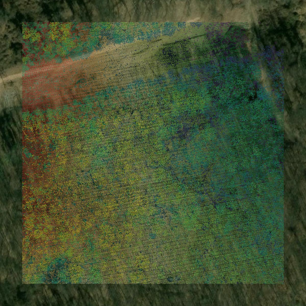 This image shows a LiDAR point cloud in Anne Arundel County created using GIS data in Equator.