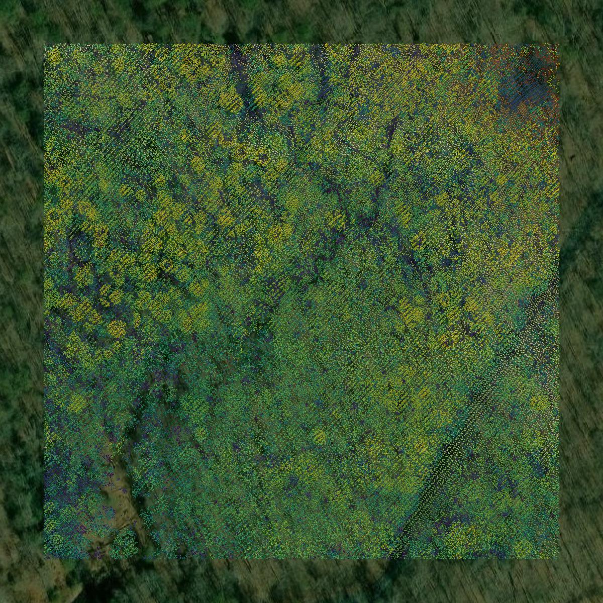 This image shows a LiDAR point cloud in Anne Arundel County created using GIS data in Equator.