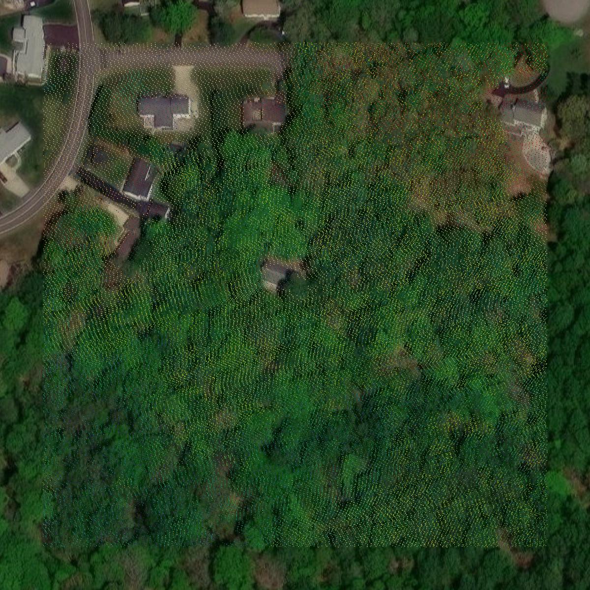 This image shows a LiDAR point cloud in Calvert County created using GIS data in Equator.