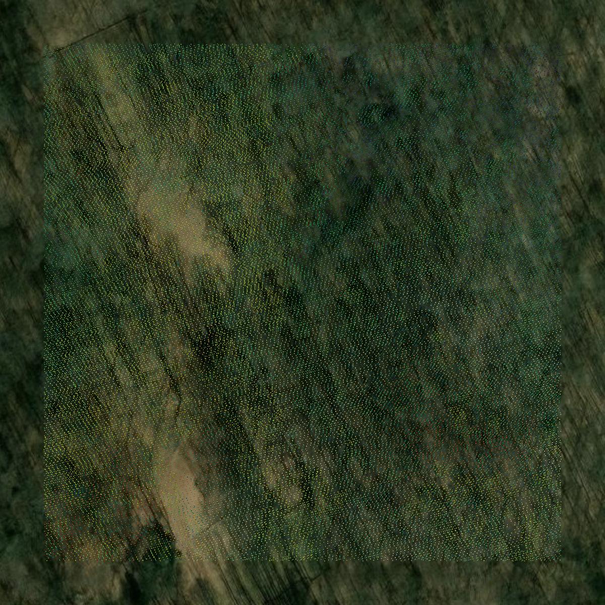 This image shows a LiDAR point cloud in Calvert County created using GIS data in Equator.