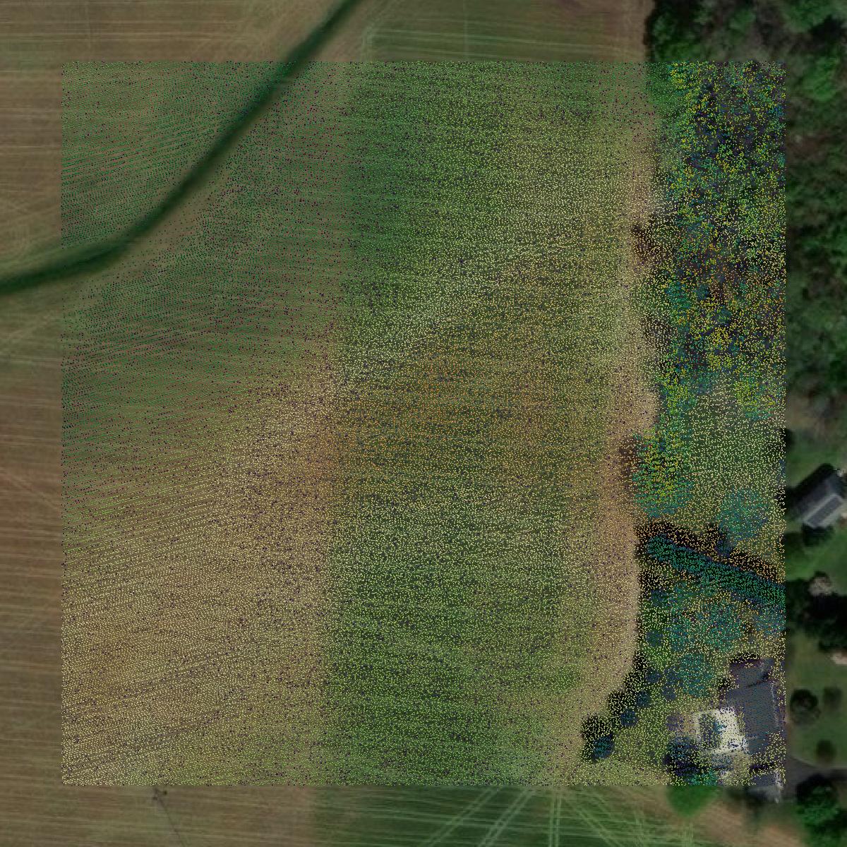 This image shows a LiDAR point cloud in Caroline County created using GIS data in Equator.