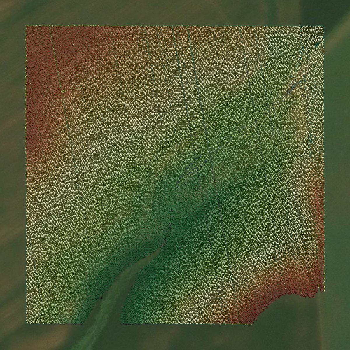 This image shows a LiDAR point cloud in Cecil County created using GIS data in Equator.