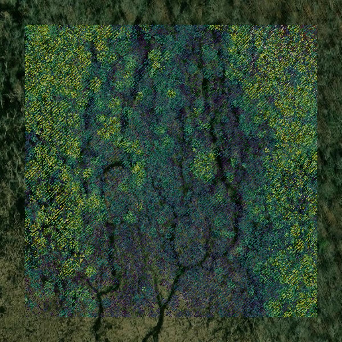 This image shows a LiDAR point cloud in Charles County created using GIS data in Equator.