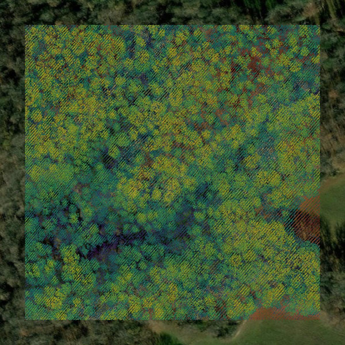 This image shows a LiDAR point cloud in Charles County created using GIS data in Equator.