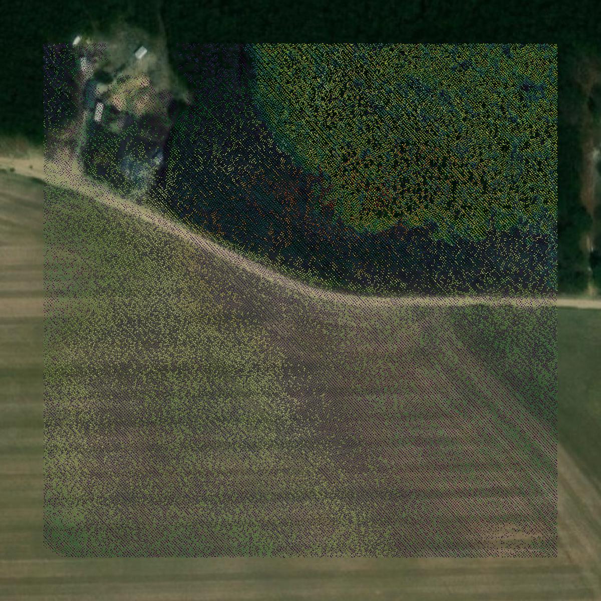 This image shows a LiDAR point cloud in Dorchester County created using GIS data in Equator.