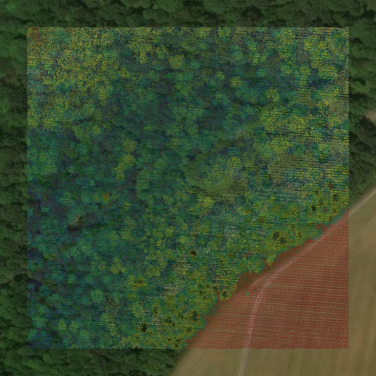 This image shows a LiDAR point cloud in Garrett County created using GIS data in Equator.