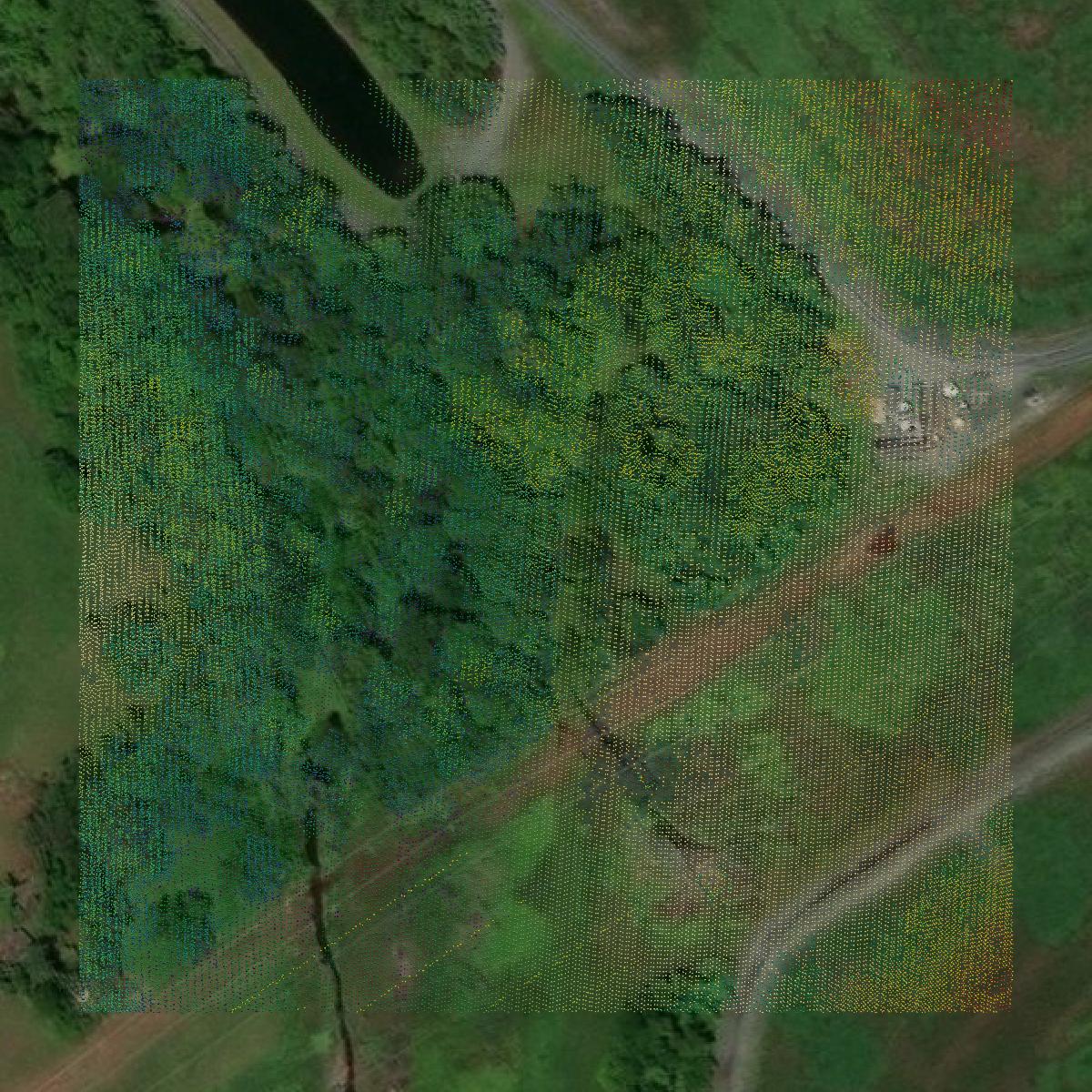 This image shows a LiDAR point cloud in Montgomery County created using GIS data in Equator.