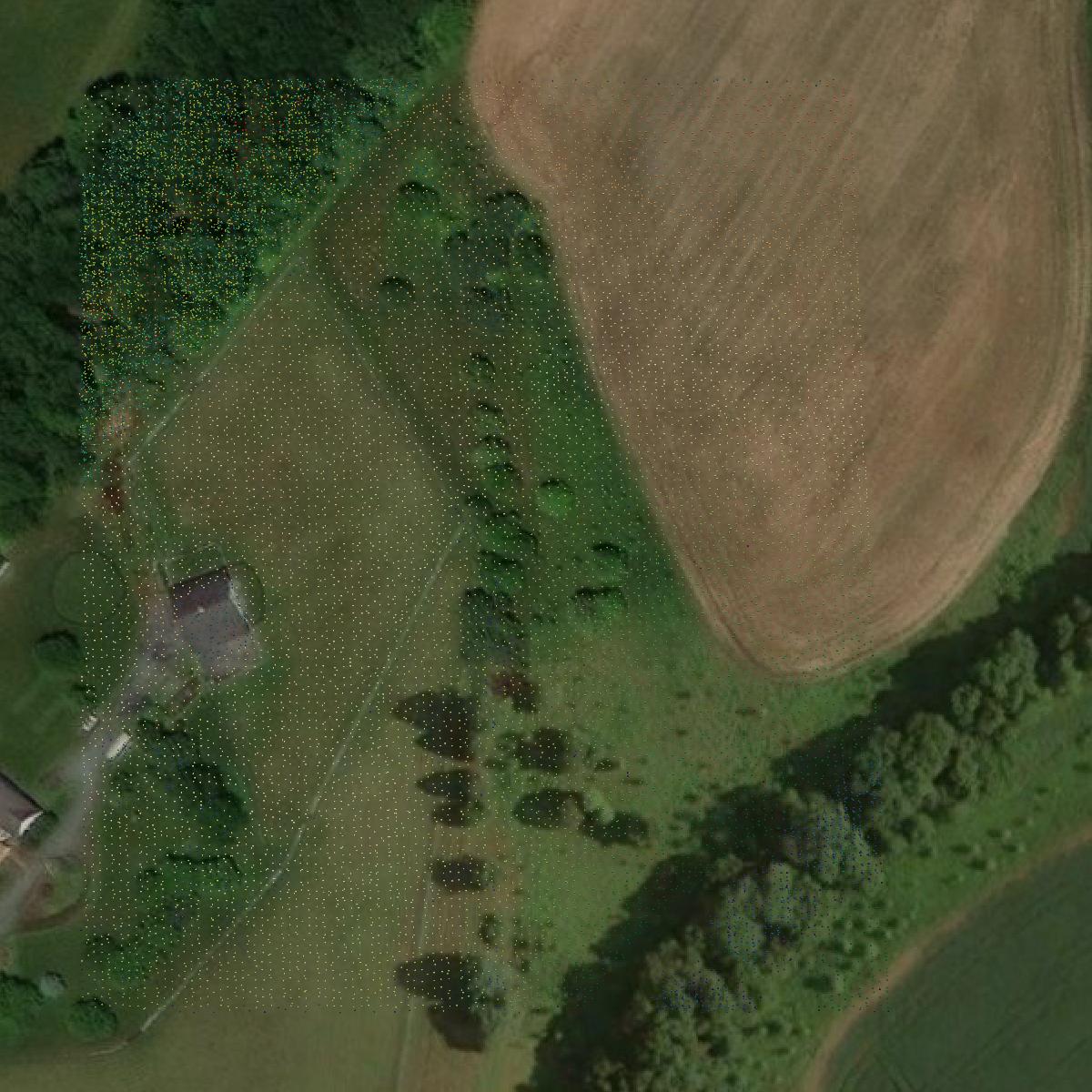 This image shows a LiDAR point cloud in Montgomery County created using GIS data in Equator.