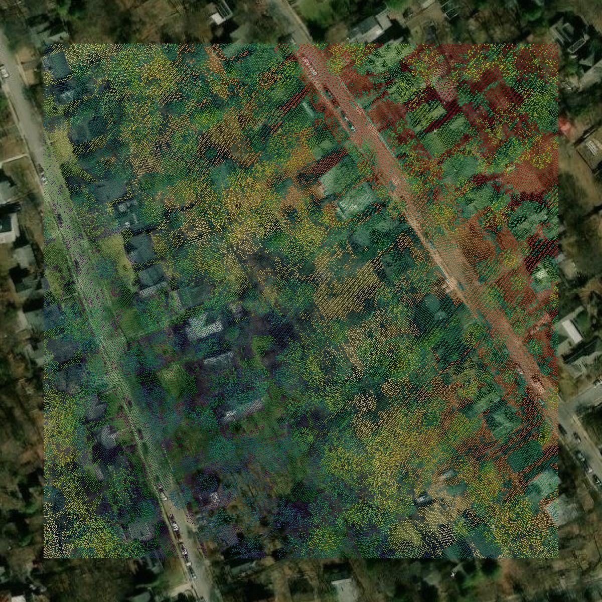 This image shows a LiDAR point cloud in Montgomery County created using GIS data in Equator.