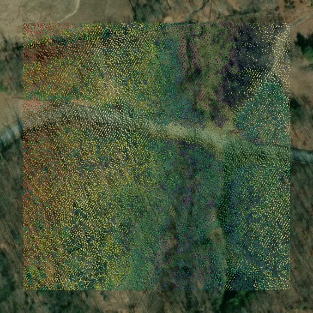 This image shows a LiDAR point cloud in Montgomery County created using GIS data in Equator.