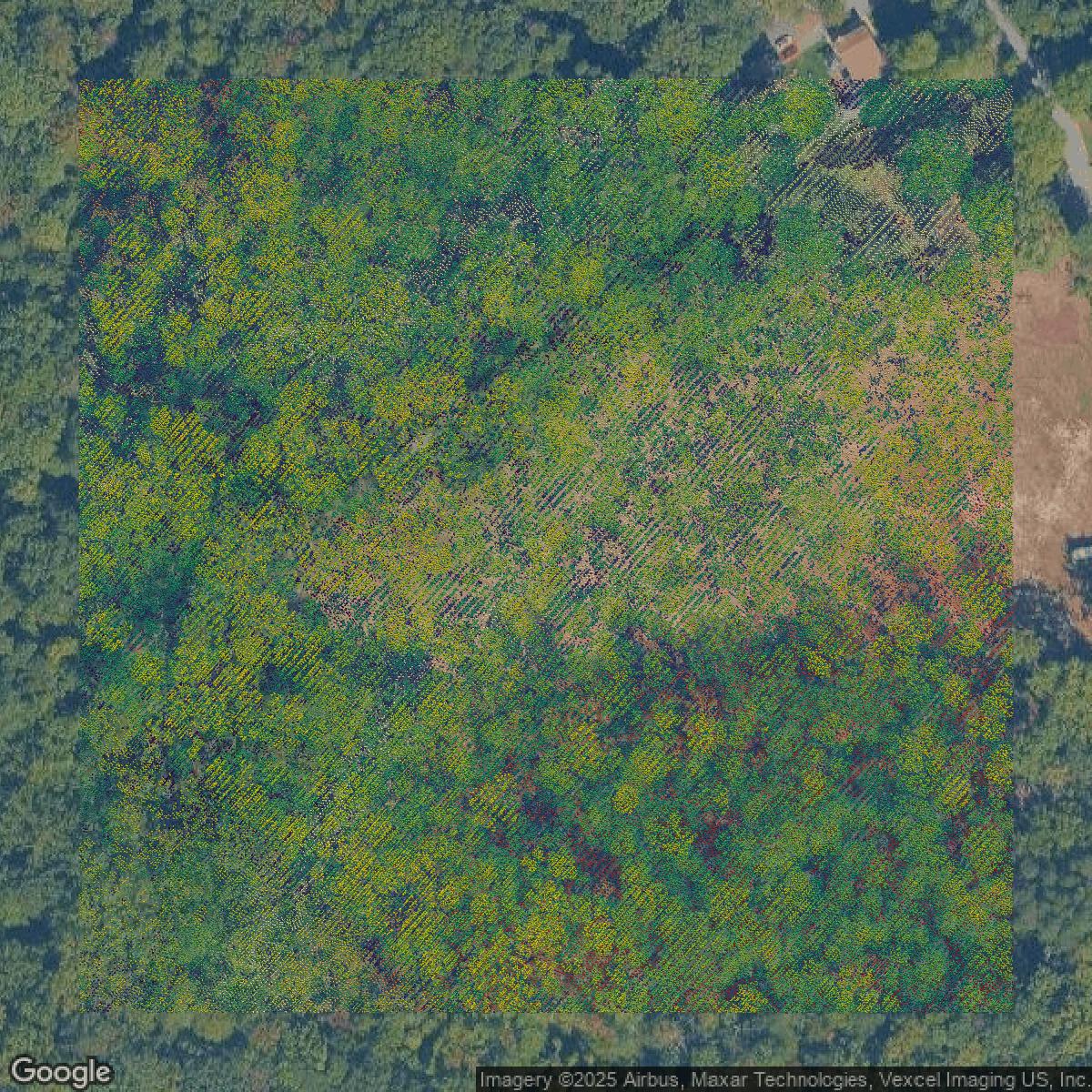 This image shows a LiDAR point cloud in Prince George's County created using GIS data in Equator.