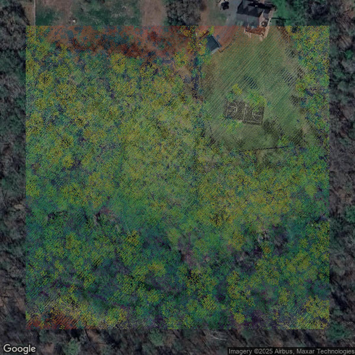 This image shows a LiDAR point cloud in Prince George's County created using GIS data in Equator.