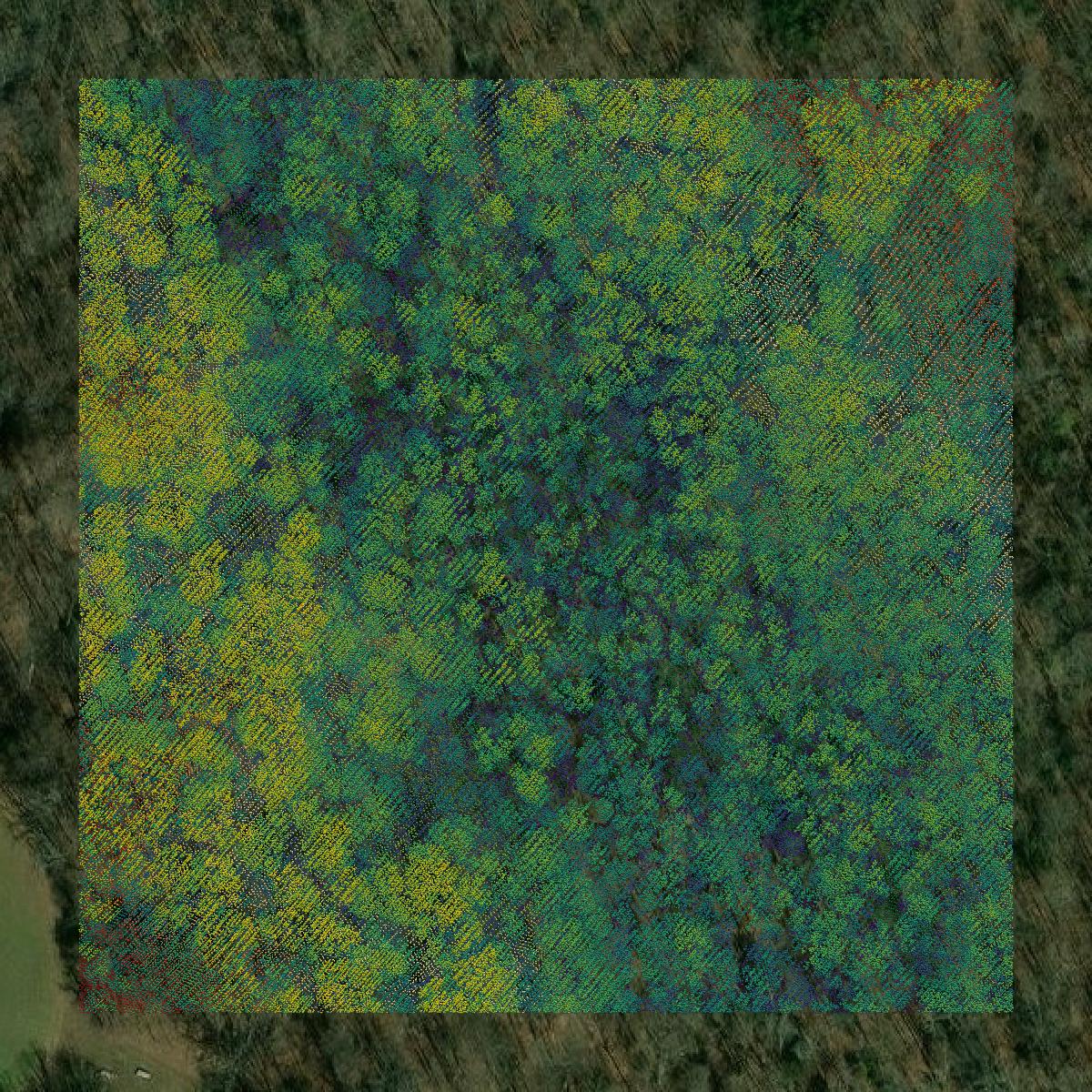 This image shows a LiDAR point cloud in St. Mary's County created using GIS data in Equator.
