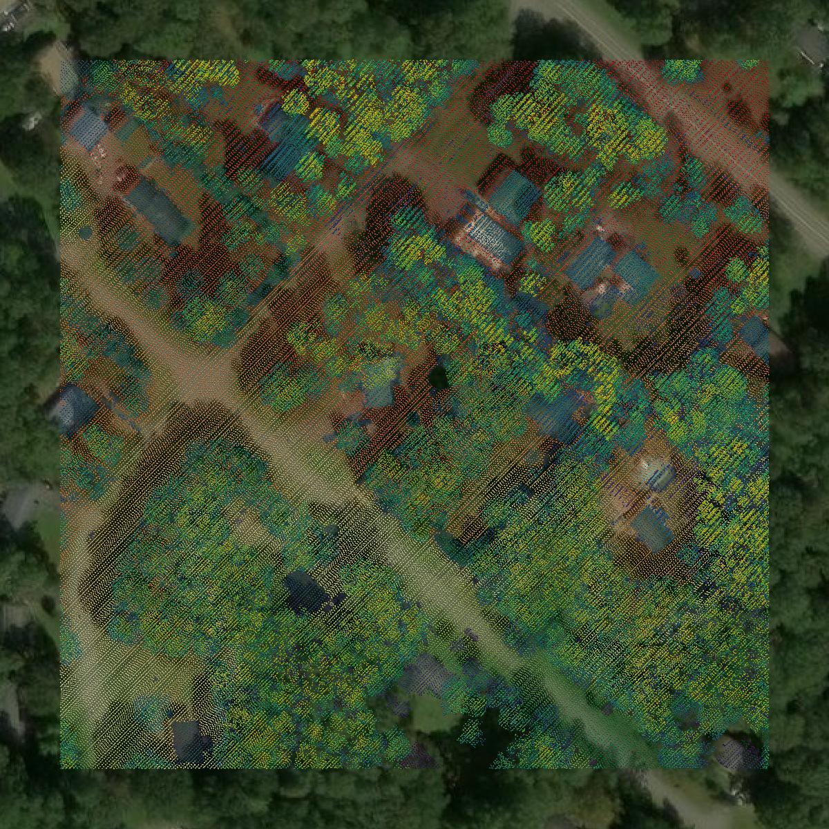 This image shows a LiDAR point cloud in St. Mary's County created using GIS data in Equator.