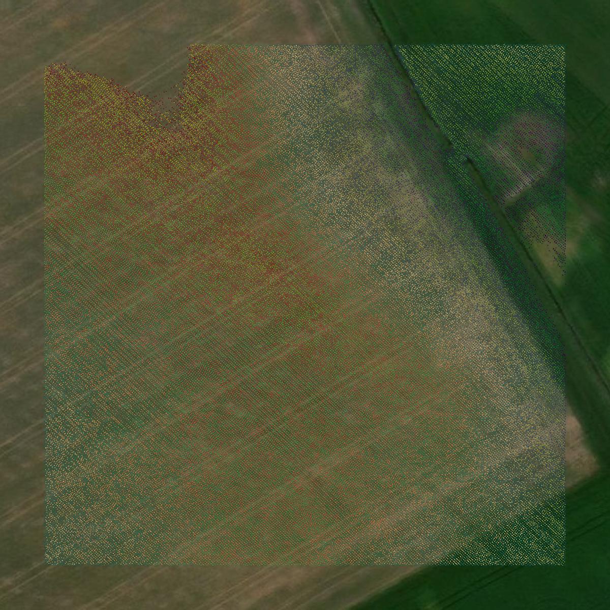 This image shows a LiDAR point cloud in Talbot County created using GIS data in Equator.