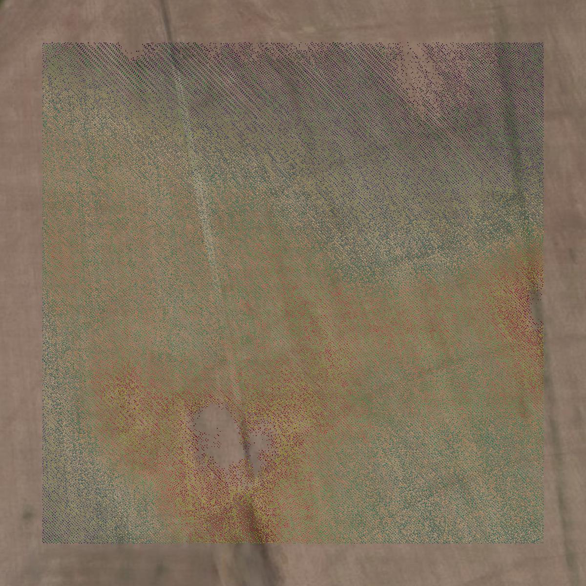 This image shows a LiDAR point cloud in Talbot County created using GIS data in Equator.