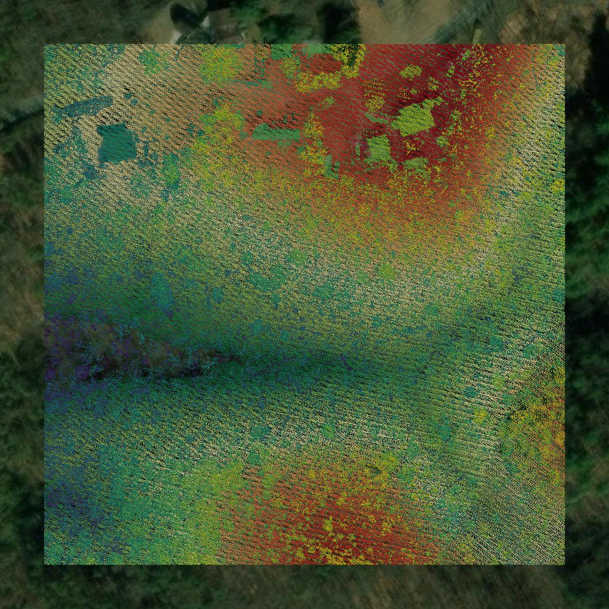 This image shows a LiDAR point cloud in Washington County created using GIS data in Equator.