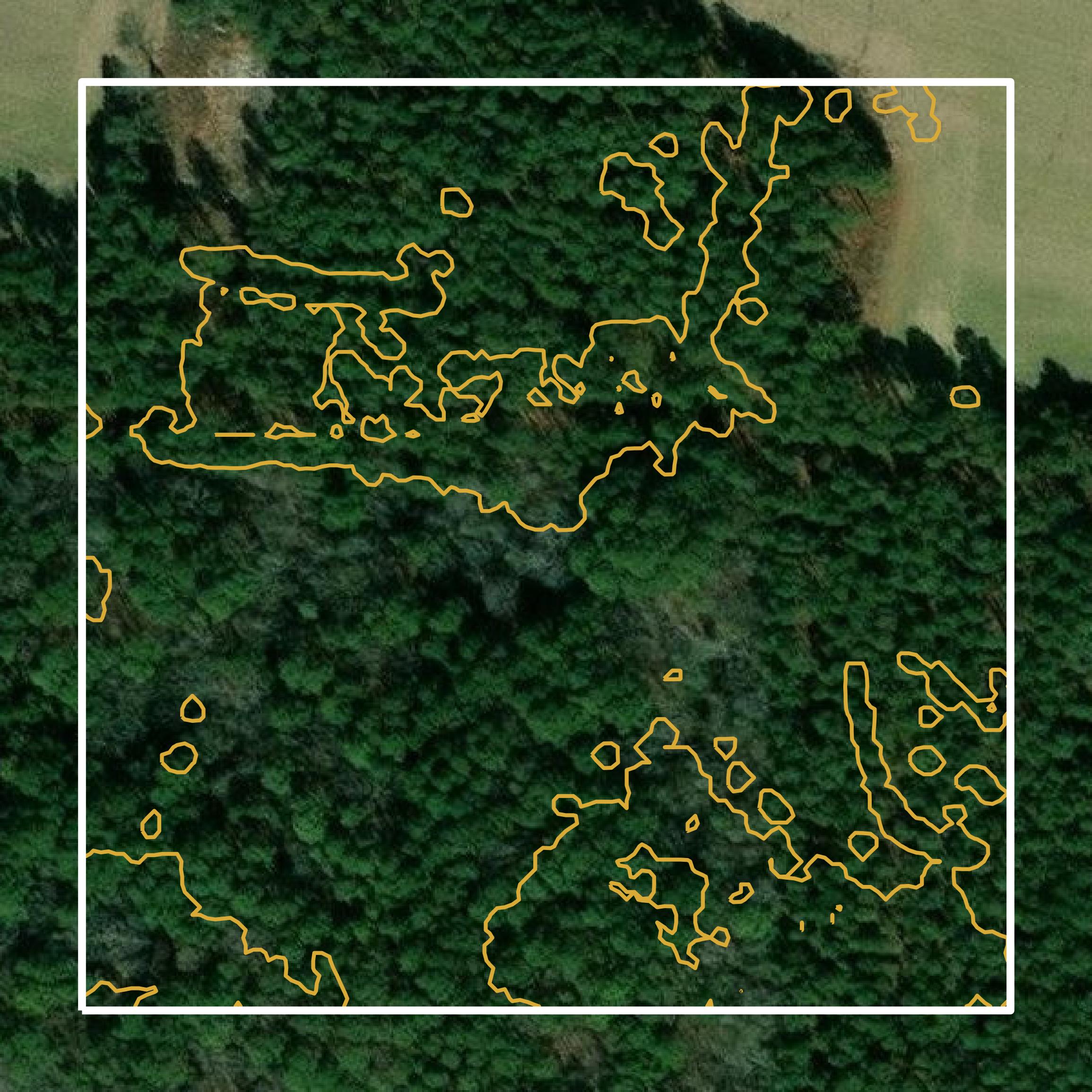 This image shows a contour map in Wicomico County created using GIS data in Equator.