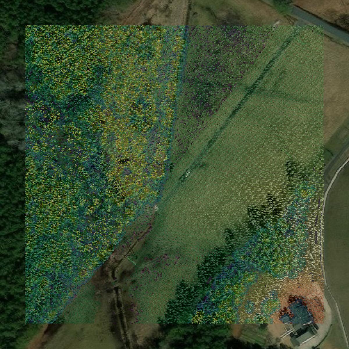This image shows a LiDAR point cloud in Wicomico County created using GIS data in Equator.