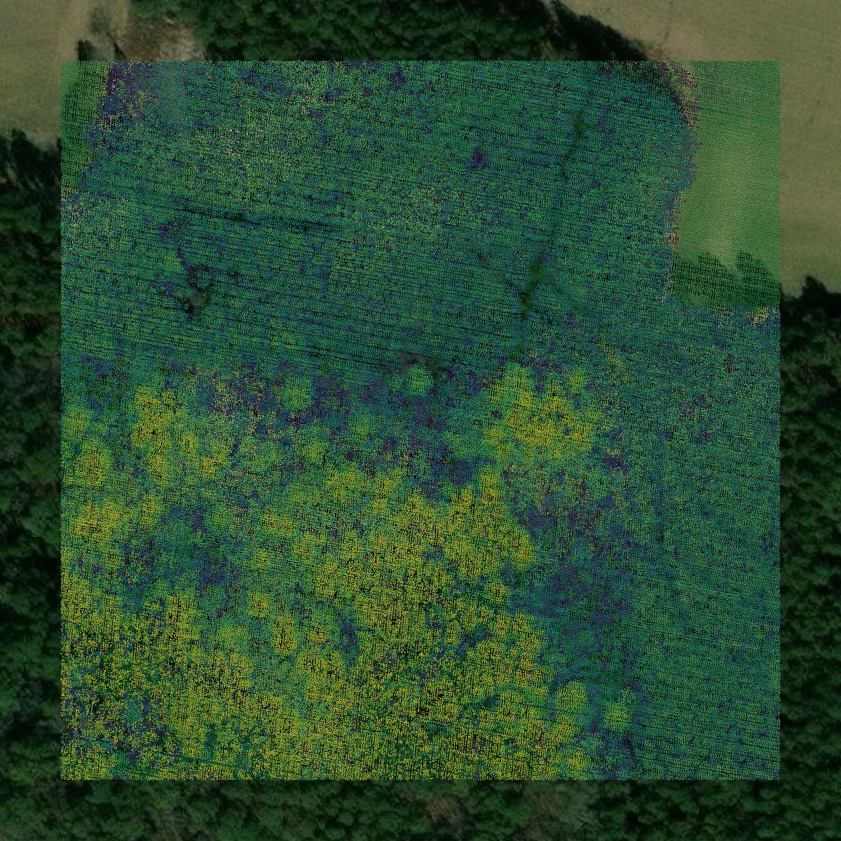 This image shows a LiDAR point cloud in Wicomico County created using GIS data in Equator.