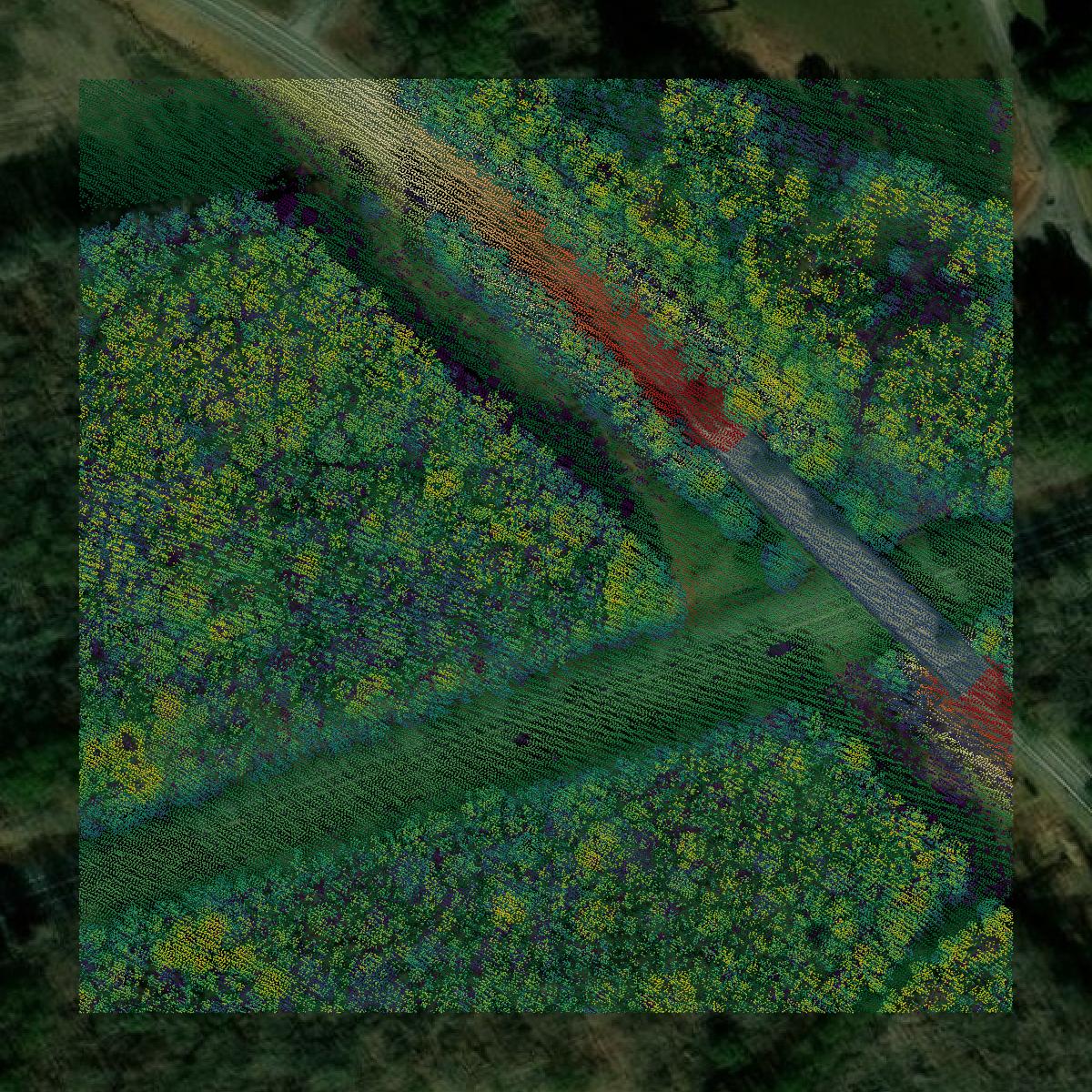 This image shows a LiDAR point cloud in Worcester County created using GIS data in Equator.