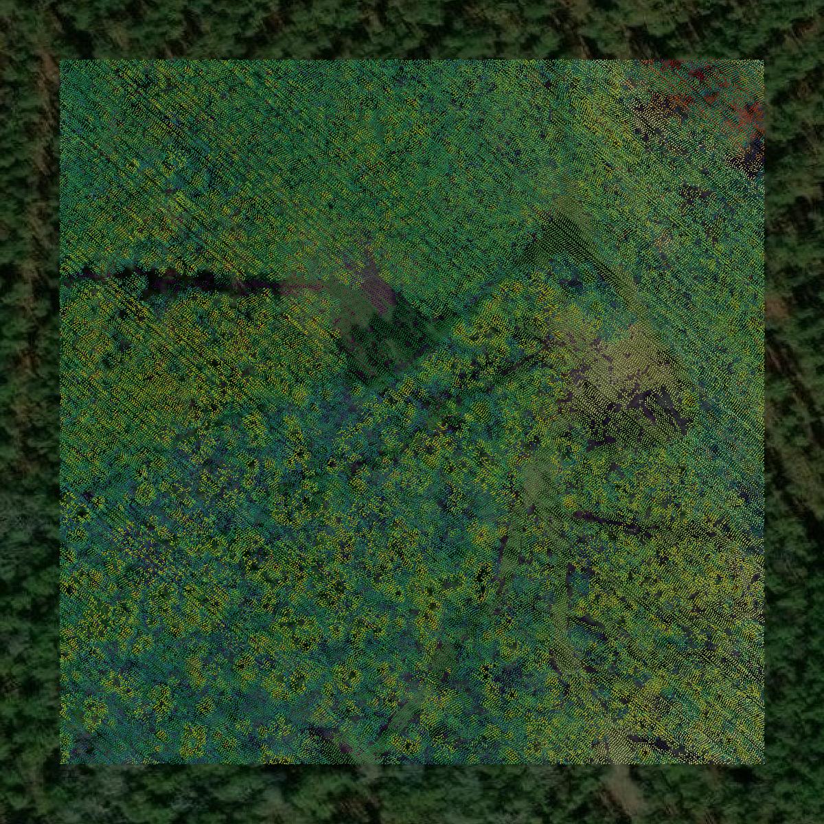 This image shows a LiDAR point cloud in Worcester County created using GIS data in Equator.