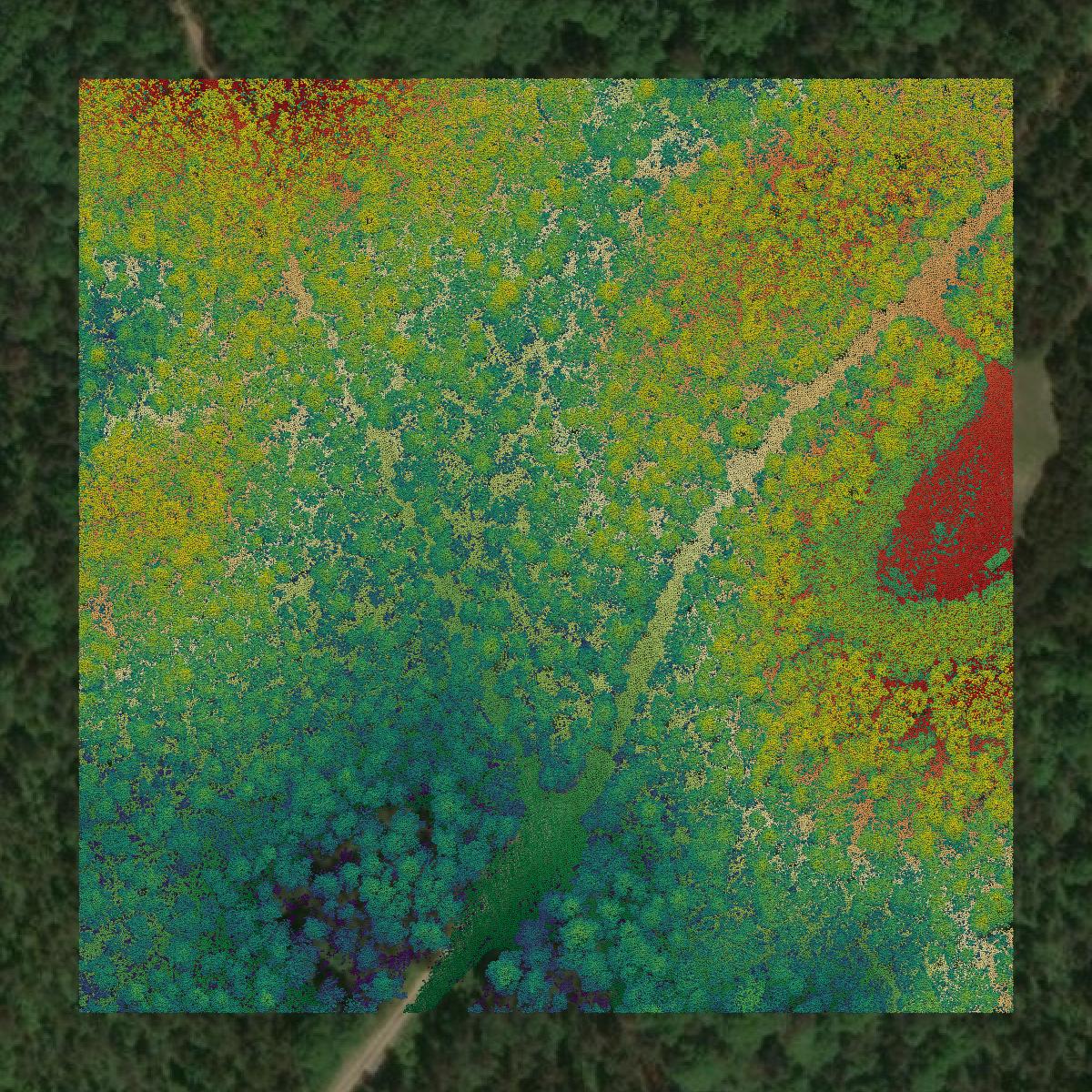 This image shows a LiDAR point cloud in Barnstable County created using GIS data in Equator.