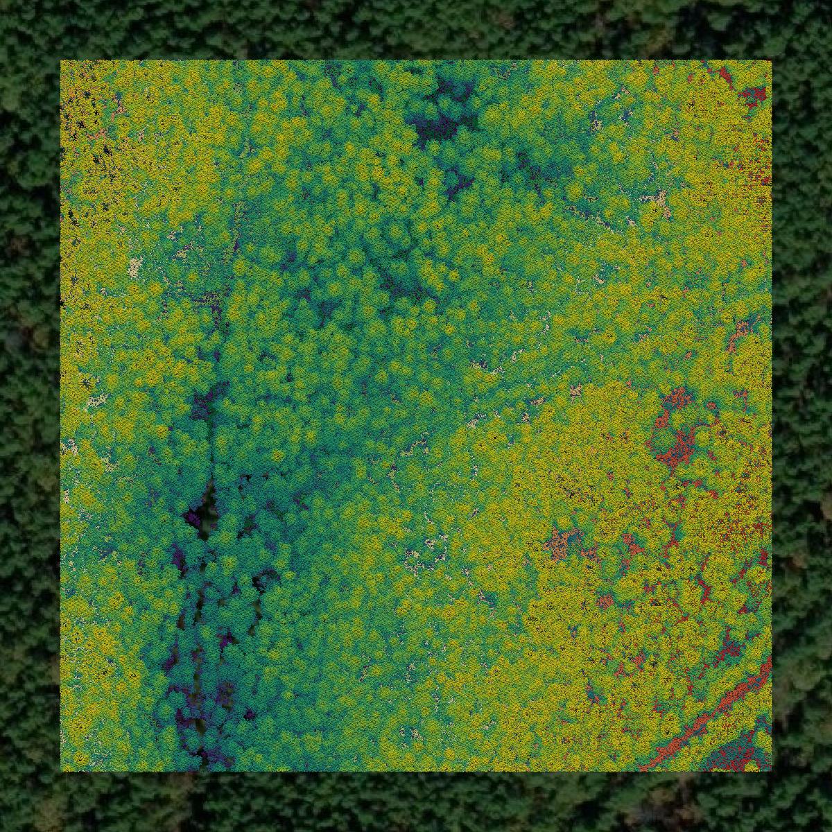 This image shows a LiDAR point cloud in Barnstable County created using GIS data in Equator.