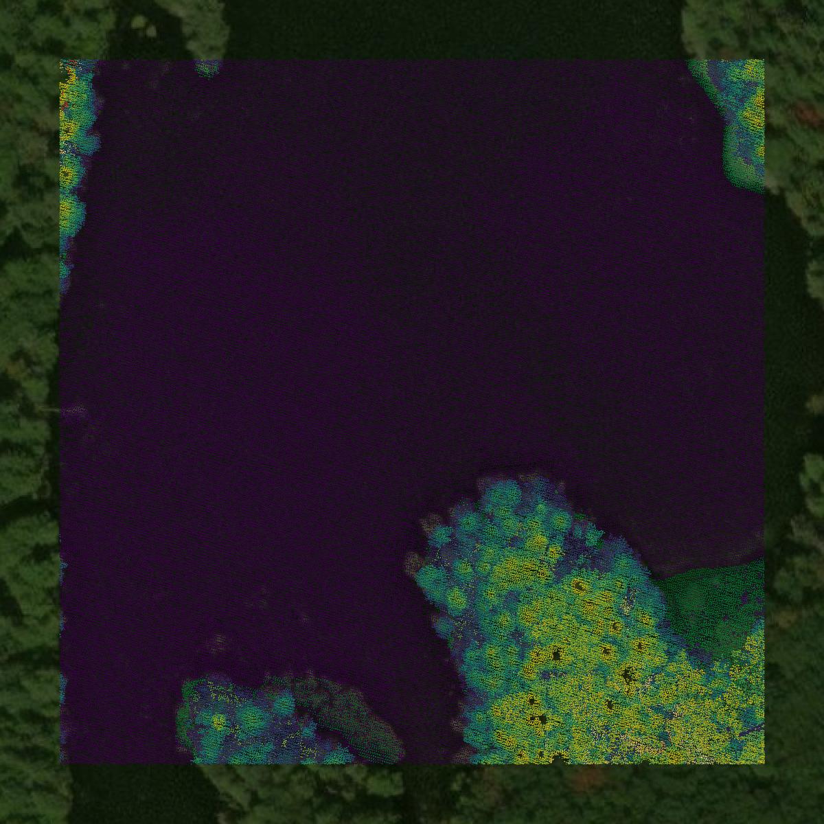 This image shows a LiDAR point cloud in Berkshire County created using GIS data in Equator.