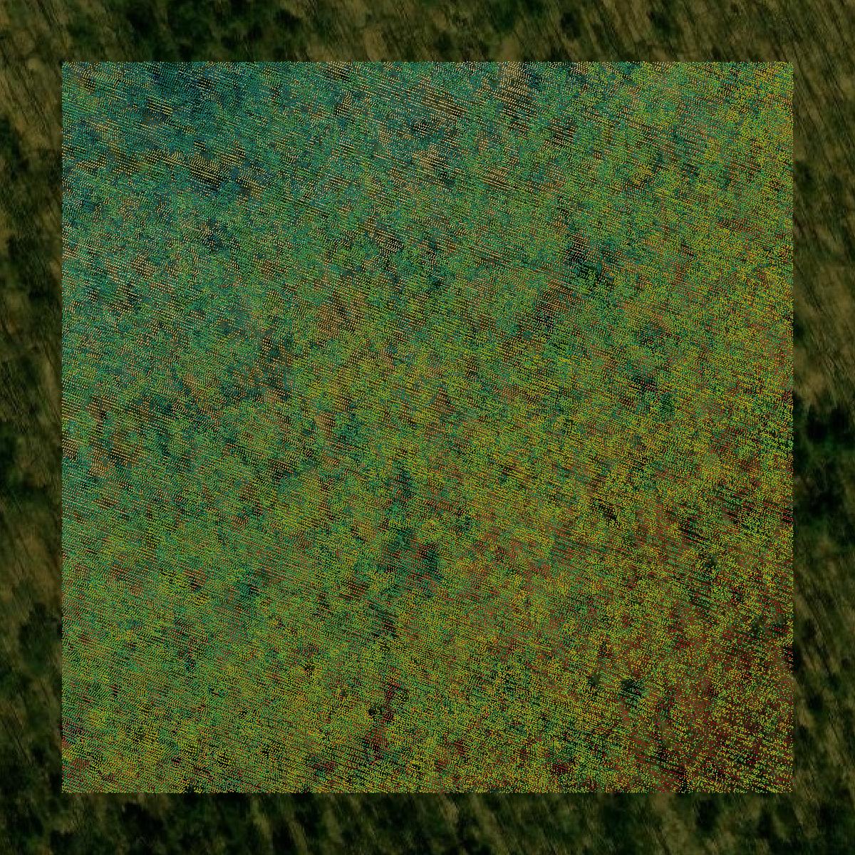 This image shows a LiDAR point cloud in Berkshire County created using GIS data in Equator.