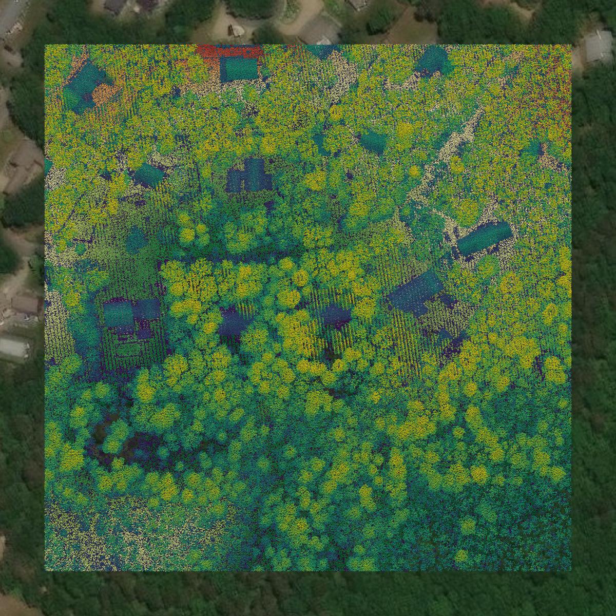 This image shows a LiDAR point cloud in Dukes County created using GIS data in Equator.