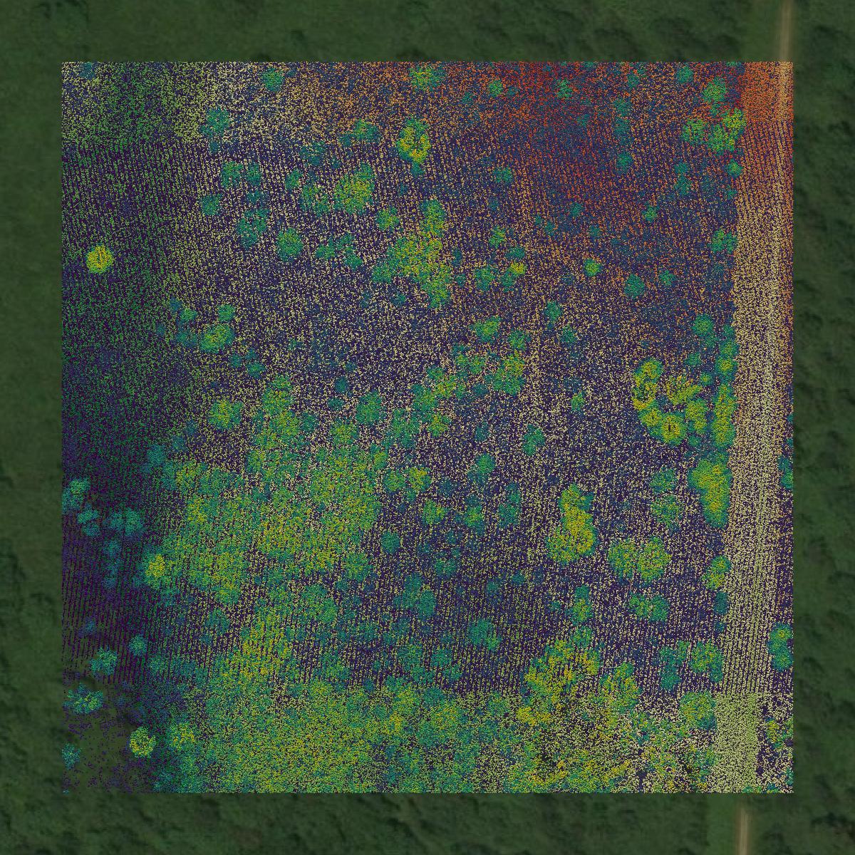 This image shows a LiDAR point cloud in Dukes County created using GIS data in Equator.