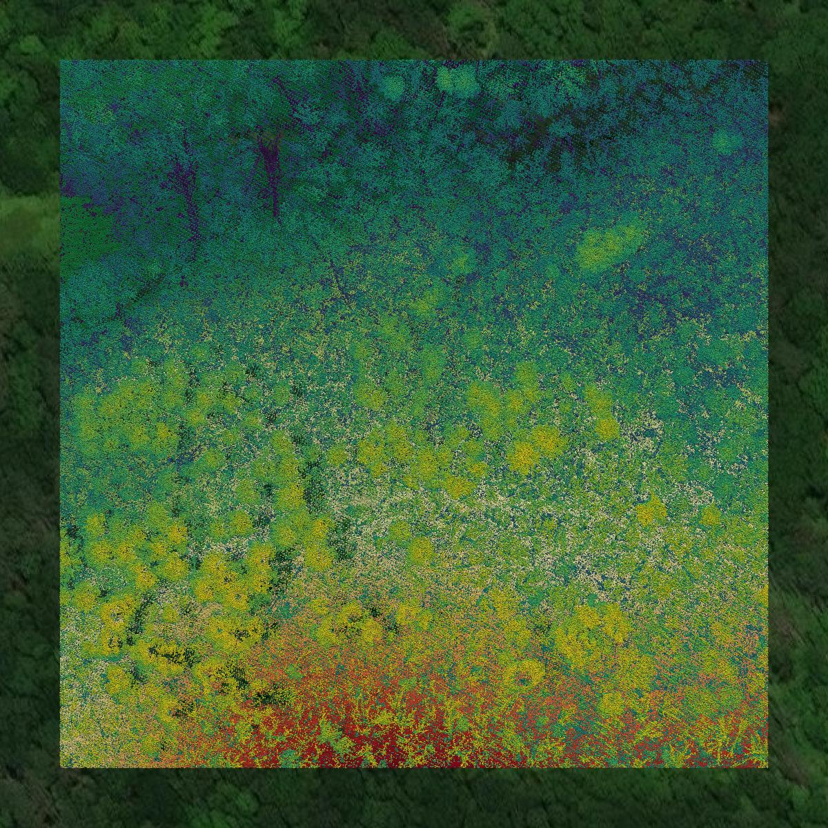 This image shows a LiDAR point cloud in Essex County created using GIS data in Equator.